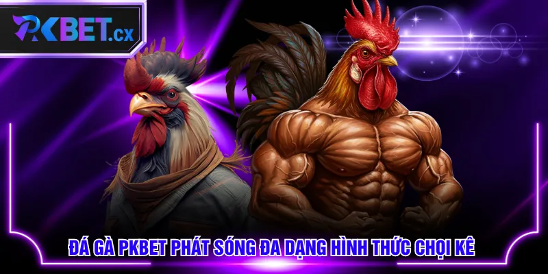 Đá Gà PKBET phát sóng đa dạng hình thức chọi kê 