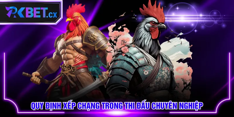 Quy định xếp chạng trong thi đấu chuyên nghiệp